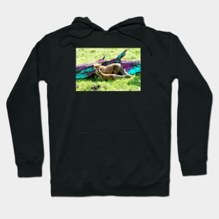 Motherly Love / Swiss Artwork Photography Hoodie